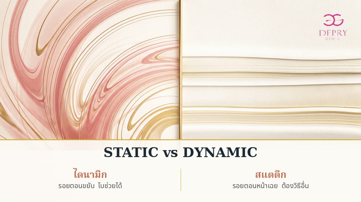 อินโฟกราฟิก Static vs Dynamic รอยย่นบนใบหน้า โดย de Pry Clinic