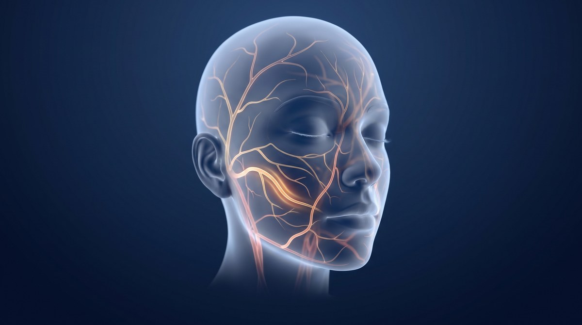 Ano ang Filler na Pumasok sa Ugat (Vascular Occlusion)? 4 na Yugto ng Mapanganib na Senyales at Paano Haharapin, sa Phitsanulok 2026